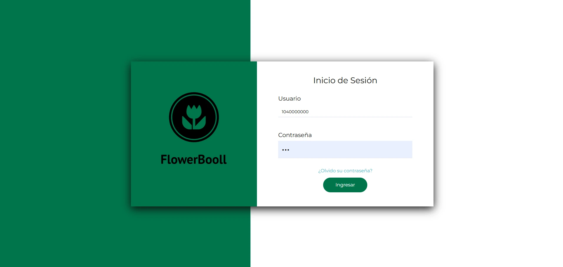 FlowerBooll: pantalla 2